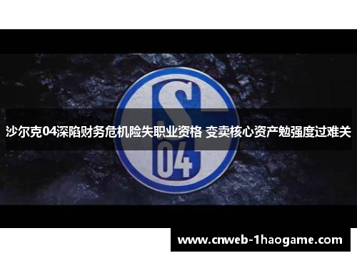 沙尔克04深陷财务危机险失职业资格 变卖核心资产勉强度过难关